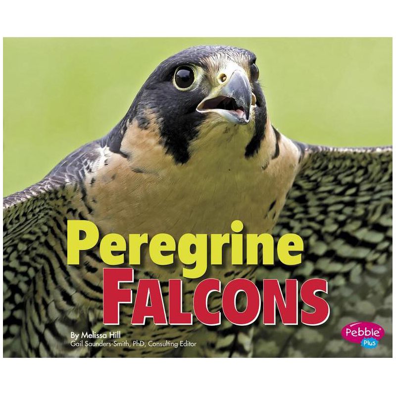 Peregrine Falcons - (Birds of Prey) by  Melissa Hill (Paperback), 1 of 2