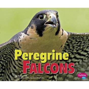 Peregrine Falcons - (Birds of Prey) by  Melissa Hill (Paperback)