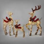 3pk Deer Family Christmas Novelty Sculpture Light - Wondershop™