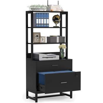 Tribesigns 2 Drawers Vertical File Cabinet, Filing Cabinet Printer Stand with Open Storage Shelves