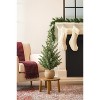 Potted Mini Pine Tree (Set of 2) - 2 of 3