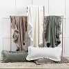 EY Essentials Ishana Ivory 50" x 70" Throw Blanket - 4 of 4