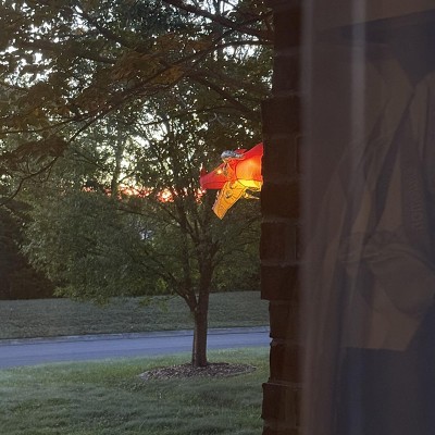 Guest review image 1 of 1, zoom in