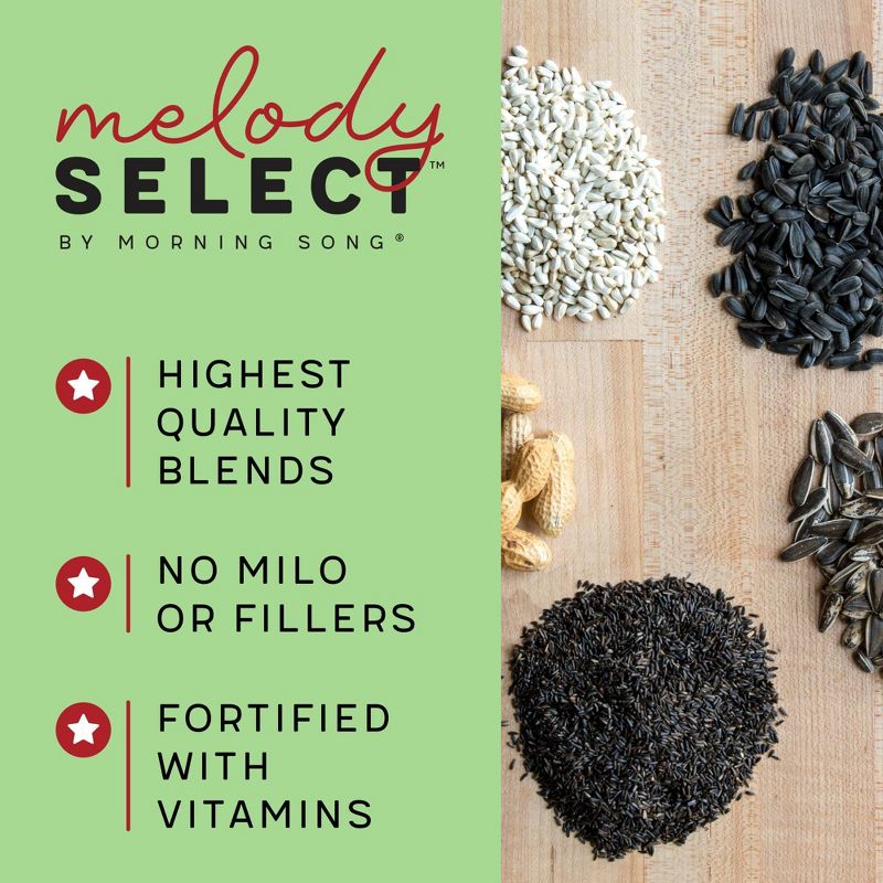 Melody Select 4.5lb Nut, Fruit &#38; Berry Bird Food, 5 of 10