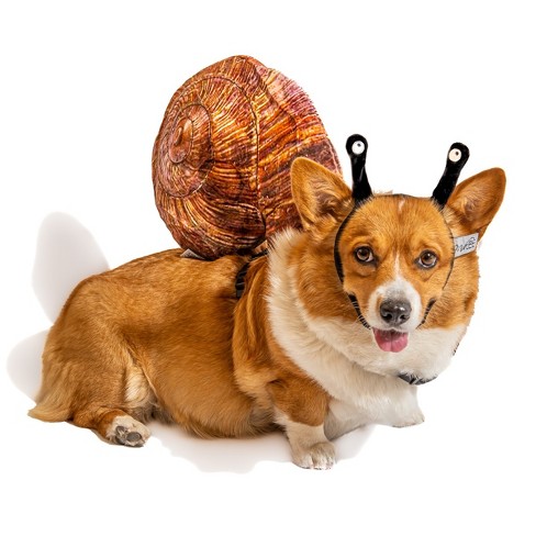 The Best Dog Halloween Costumes for All Kinds of Pups, from Big to