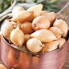 Van Zyverden 25ct Allium White Bulbs - 2 of 4