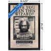 Trends International Harry Potter - Sirius Black Wanted Framed Wall Poster Prints - 3 of 4