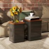 Aghana Digitals 2-Piece Industrial Stackable Storage Ottoman Set with Removable Wood Lid, Metal - 2 of 4