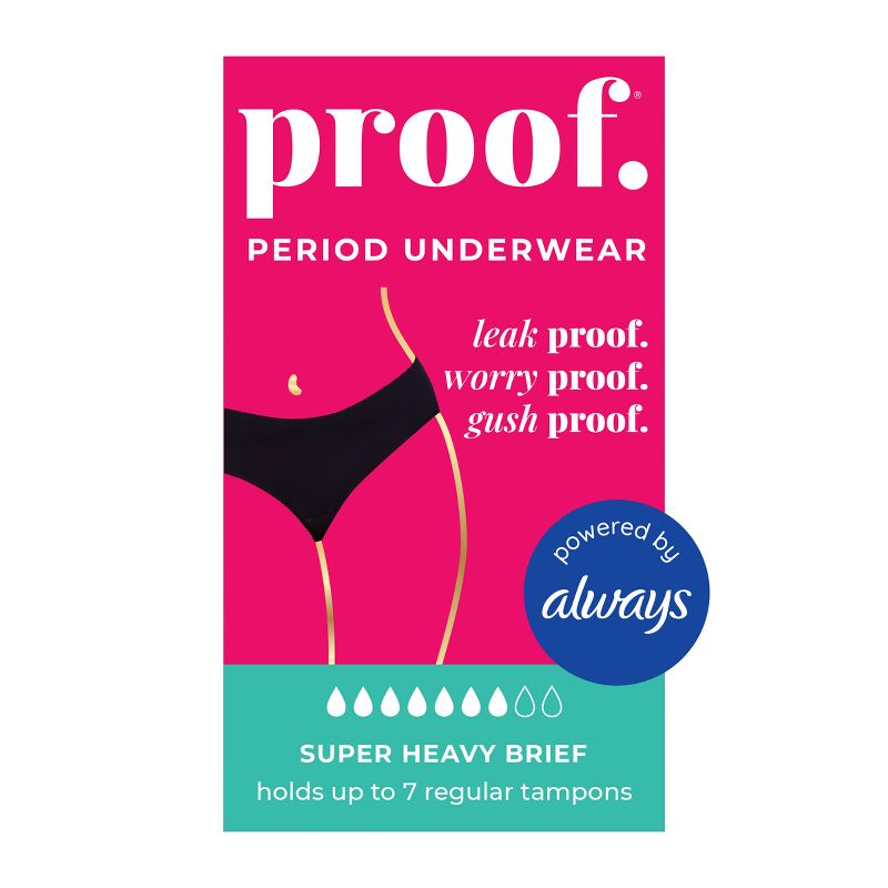 Proof Women's Brief Super Heavy Absorbency Period Underwear - Black, 1 of 11