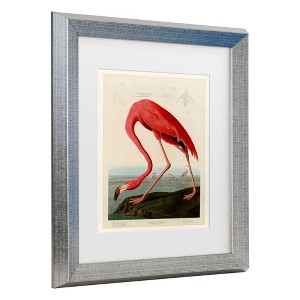 Trademark Fine Art -John James Audobon 'American Flamingo' Matted Framed Art - 1 of 3