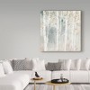 Trademark Fine Art -Lisa Audit 'A Woodland Walk III' Canvas Art - 3 of 3