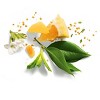 Herbal Essences Bio:renew Color-Safe Repairing Shampoo with Argan Oil - 13.5 fl oz - image 3 of 4