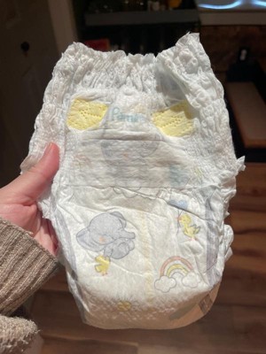 Guest review image 2 of 2, zoom in