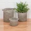 Colonial Mills Monet Ombre Basket, 12"x12"x10", Tan - 3 of 3