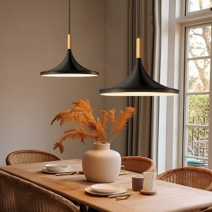 DORESshop 1-Light Industrial Farmhouse Hanging Black Pendant Ceiling Light with Metal Shade for Kitchen Island Dinning Room - 1 of 4