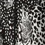 black tropical animal