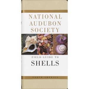 National Audubon Society Field Guide to North American Seashells - (National Audubon Society Field Guides) (Paperback) - 1 of 1