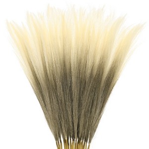 Unique Bargains Dried Plants Artificial Durable Small Fluffy Pampas Grass for Home, Office, Party 20 Pcs 21.7 Inch - 1 of 4