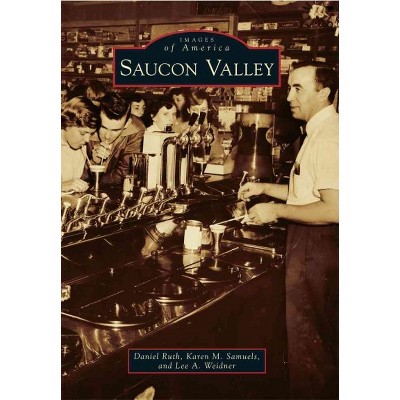 Saucon Valley - by Daniel T. Ruth (Paperback)