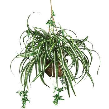 Nearly Natural Spider Hanging Basket Silk Plant