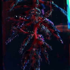 Objekt - Cocoon Crush (CD) - 1 of 1