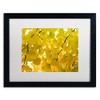 Trademark Fine Art -Philippe Sainte-Laudy 'Yellow Autumn' Matted Framed Art - 2 of 4