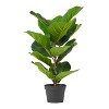 NicBex Artificial Tree Faux Plants 2.1FT Artificial Fiddle Leaf Fig Tree Indoor with Natural Wood Trunk, Room Decor for Home, Porch - 4 of 4