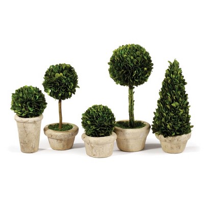 Plum & Post Boxwood Topiaries Faux (Fake) In Pots Set of 5