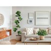 5/ 6/ 7FT Artificial Fiddle Leaf Fig Tree in Black Nursery Pot,Faux Potted Tree for Home Decor, Fake Rubber Tree for Indoor Office Living Room - 2 of 4