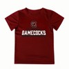 NCAA South Carolina Gamecocks Toddler Boys' T-Shirt and Shorts Set - 2 of 3