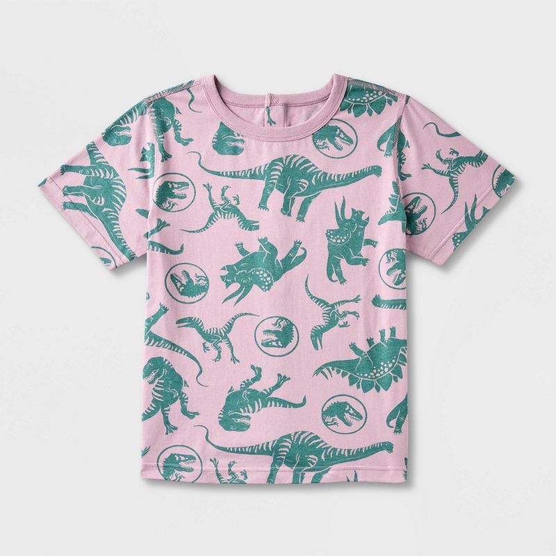 Boys&#39; Jurassic Park Adaptive Short Sleeve Graphic T-Shirt - Wine Red, 1 of 4