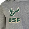 NCAA South Florida Bulls Boys' Gray Hoodie - 3 of 3
