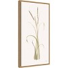 14" x 27" Lyme Grass by Chris Paschke Framed Canvas Wall Art Print - Amanti Art: Modern Botanical Lithograph, Polystyrene Frame - 2 of 4