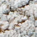 cream, charcoal, mustard, lightgray, lightbrown, mediumbrown