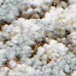 cream, charcoal, mustard, lightgray, lightbrown, mediumbrown