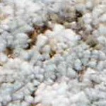 cream, charcoal, mustard, lightgray, lightbrown, mediumbrown