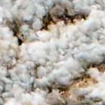 cream, charcoal, mustard, lightgray, lightbrown, mediumbrown