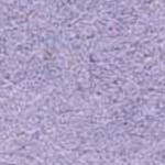 lavander/ivory