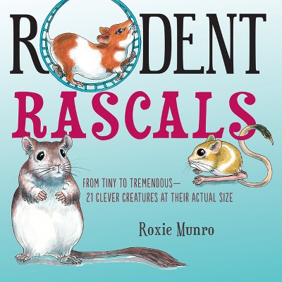 Rodent Rascals - by  Roxie Munro (Hardcover)