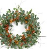 Melrose Foliage and Berry Twig Wreath 21"D - 2 of 2