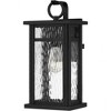 Quoizel Lighting Moira 1 - Light Sconce in  Earth Black - 2 of 4