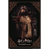 Trends International Harry Potter and the Sorcerer's Stone - Hagrid Cooking Unframed Wall Poster Prints - 4 of 4