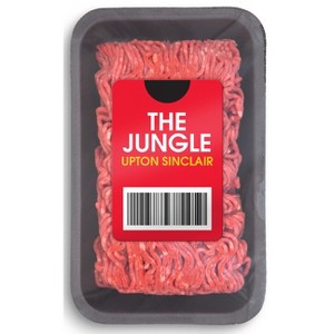 The Jungle - by  Upton Sinclair (Paperback) - 1 of 1