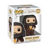 Funko POP! Harry Potter Rubeus Hagrid Vinyl Figure - image 2 of 2