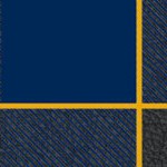 west virginia mountaineers