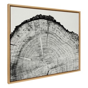Kate and Laurel Sylvie Tree Rings BW Framed Canvas by Emiko and Mark Franzen of F2Images - 1 of 4