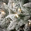 Sullivans Artificial 9 ft. Flocked Pre-Lit Pine Christmas Tree, Green-White - 2 of 2