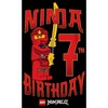 Boy's LEGO®: Ninjago Ninja Kai Birthday 7 T-Shirt - 2 of 4