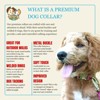 Country Brook Petz Premium Nylon Dog Collar with Metal Buckle for Small Medium Large Breeds - Vibrant 30+ Color Selection - 3 of 4