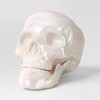 6" Medium Skull Halloween Decorative Prop - Hyde and EEK! Boutique™ - 3 of 3